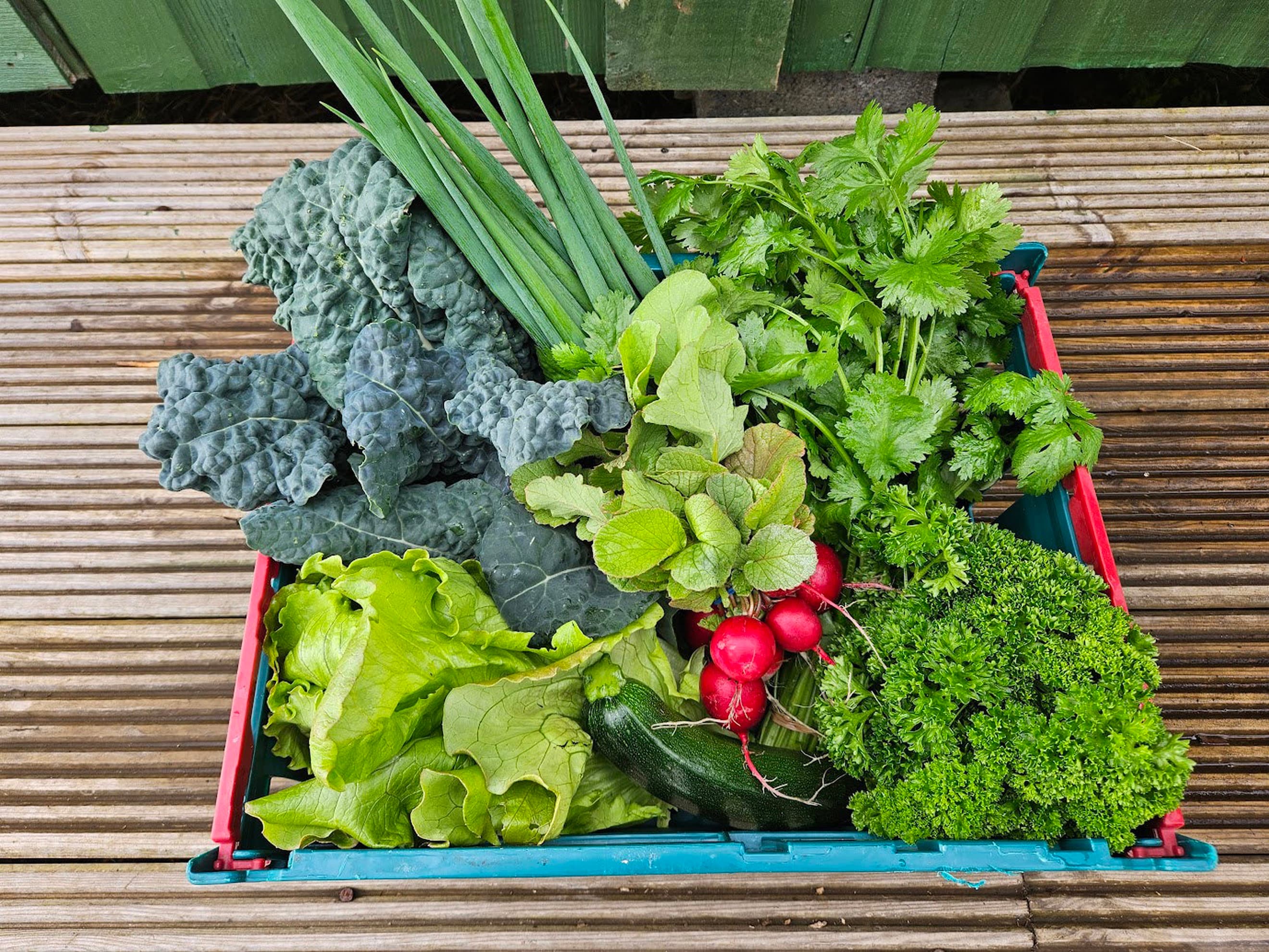 Large Veg Box