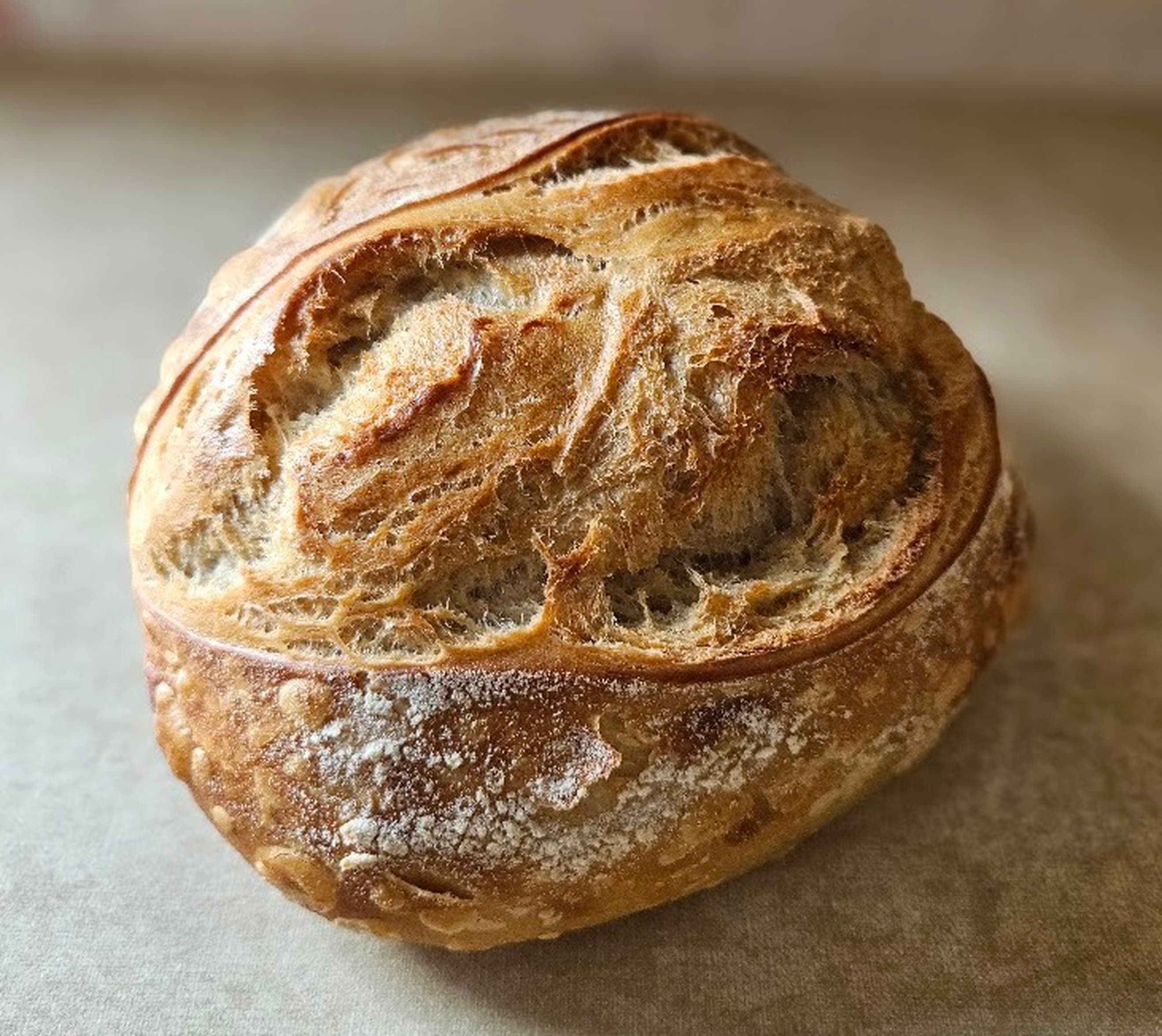 Sourdough Bread